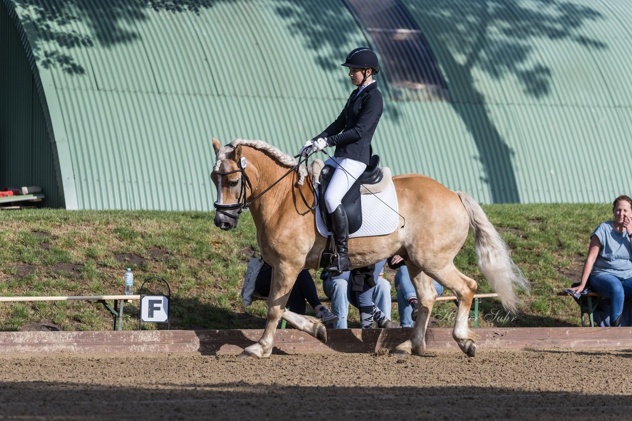 Bild 87 - Pony Akademie Turnier